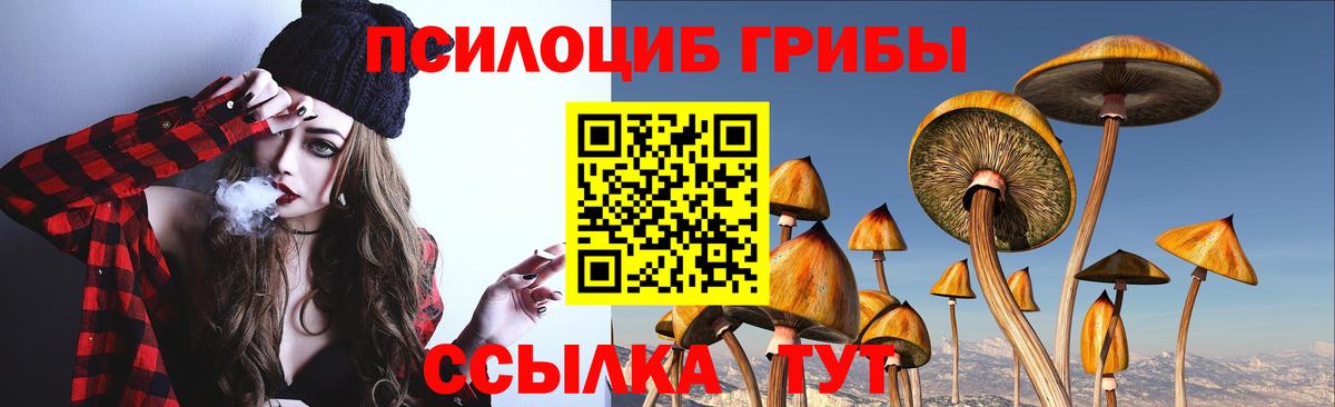 Псилоцибиновые грибы мухоморы Сосновоборск